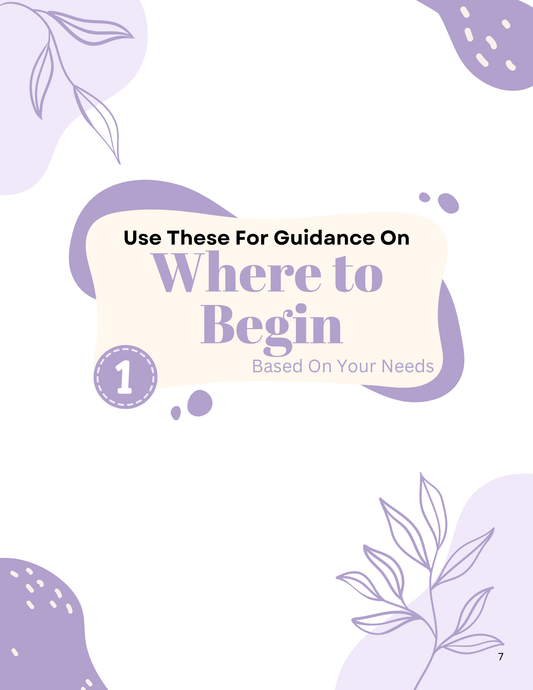 New to Bible Beginner Bundle